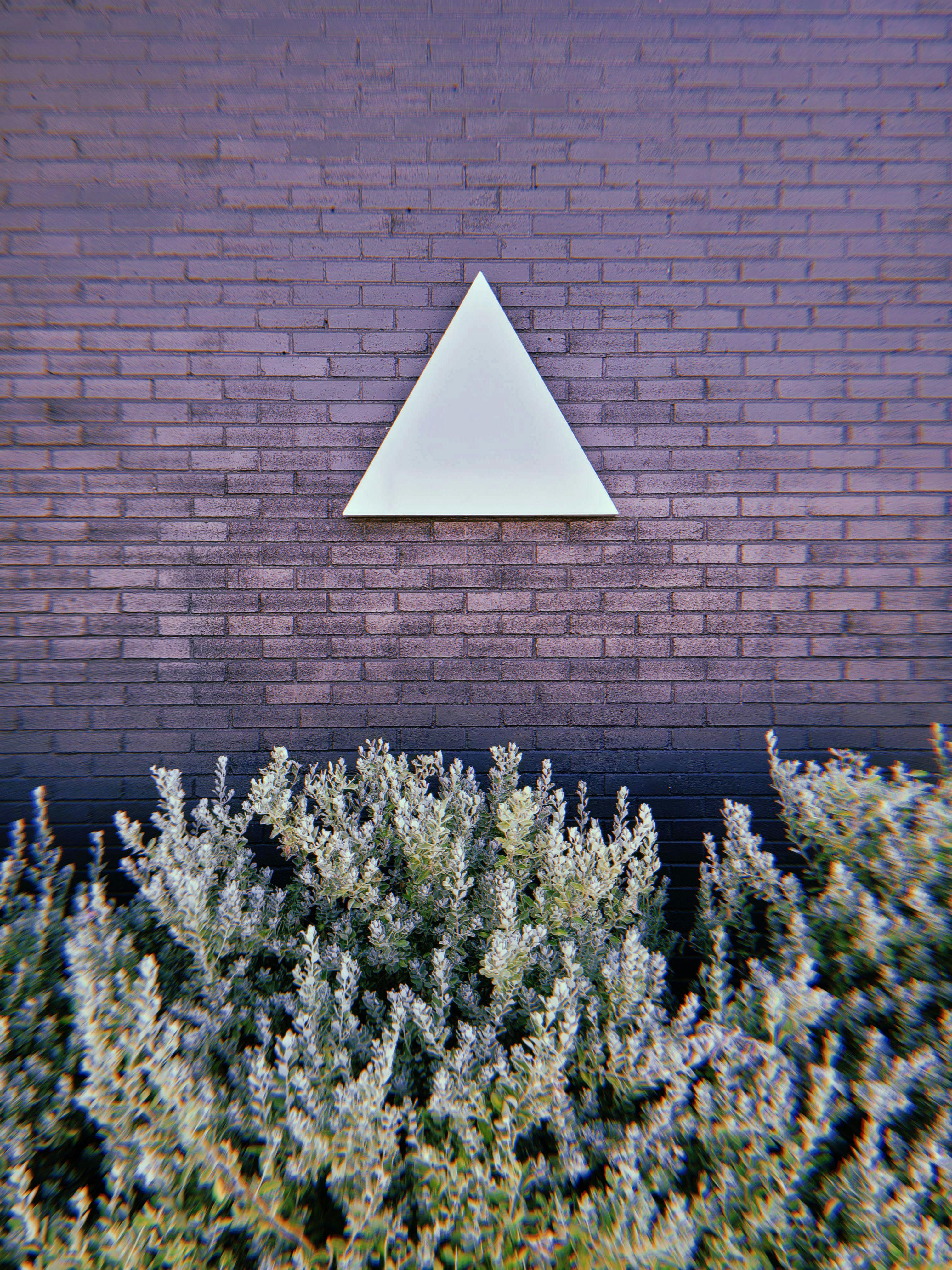 White triangle logo on the outside of a cult compound