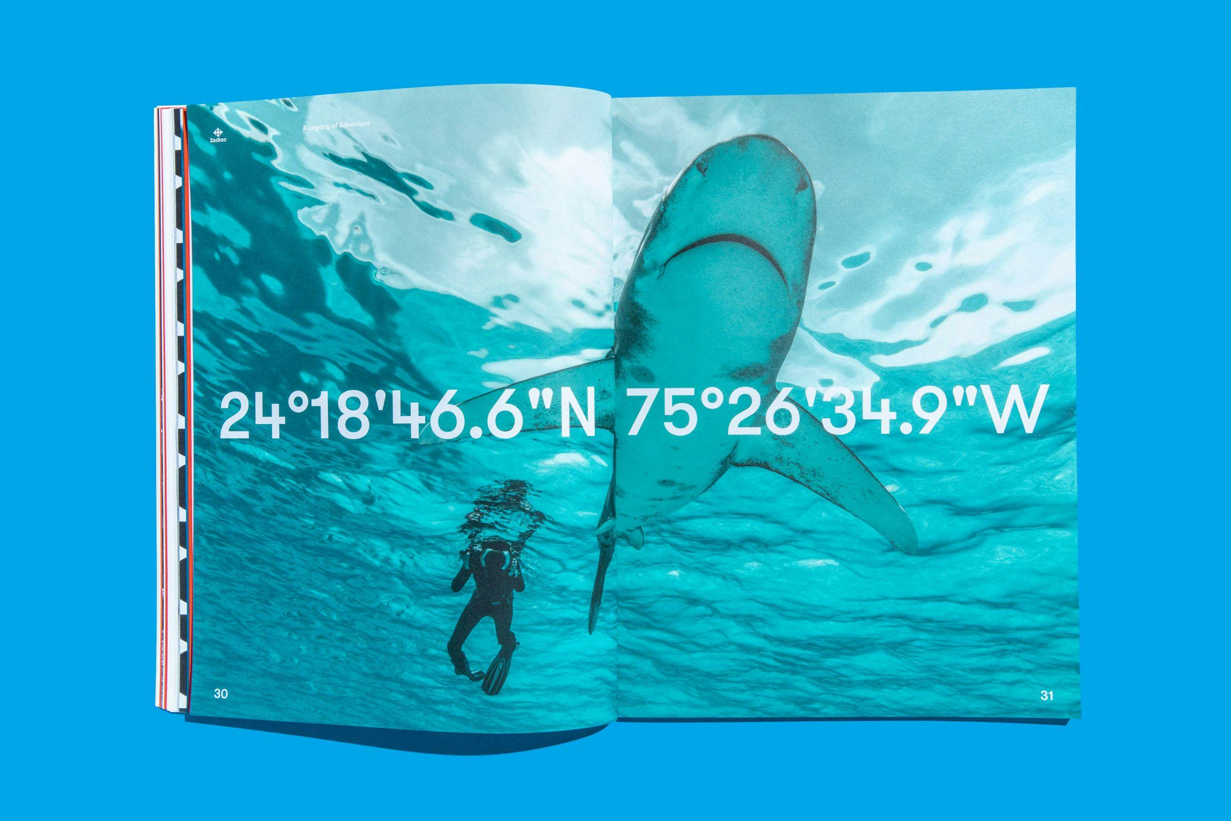 A two-page spread showing a diver swimming with a shark